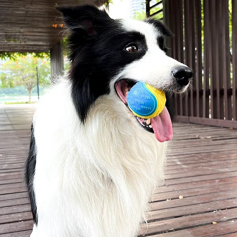 Velmora Interactive Squeaky Ball™