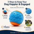 Velmora Interactive Squeaky Ball™