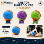 Velmora Interactive Squeaky Ball™