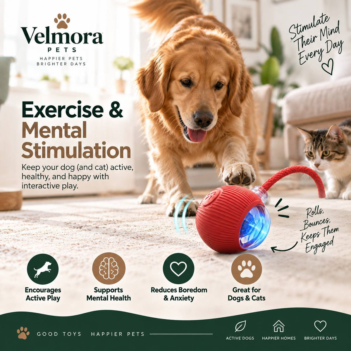 Velmora Smart Interactive Rolling Ball™