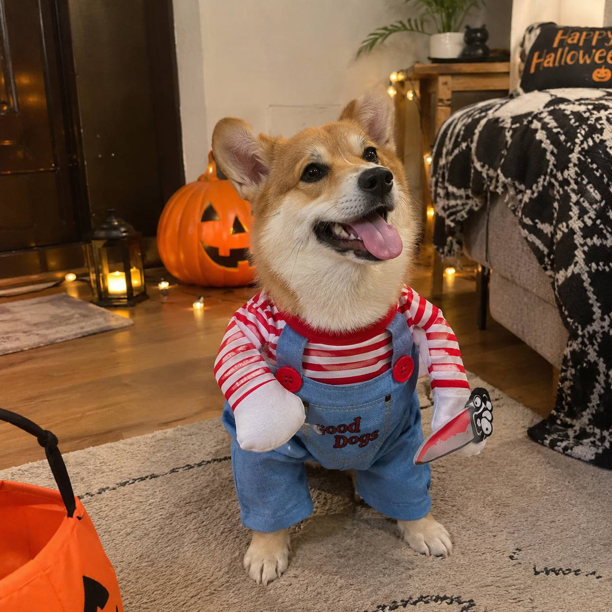 Velmora Halloween Doll Dog Costume™