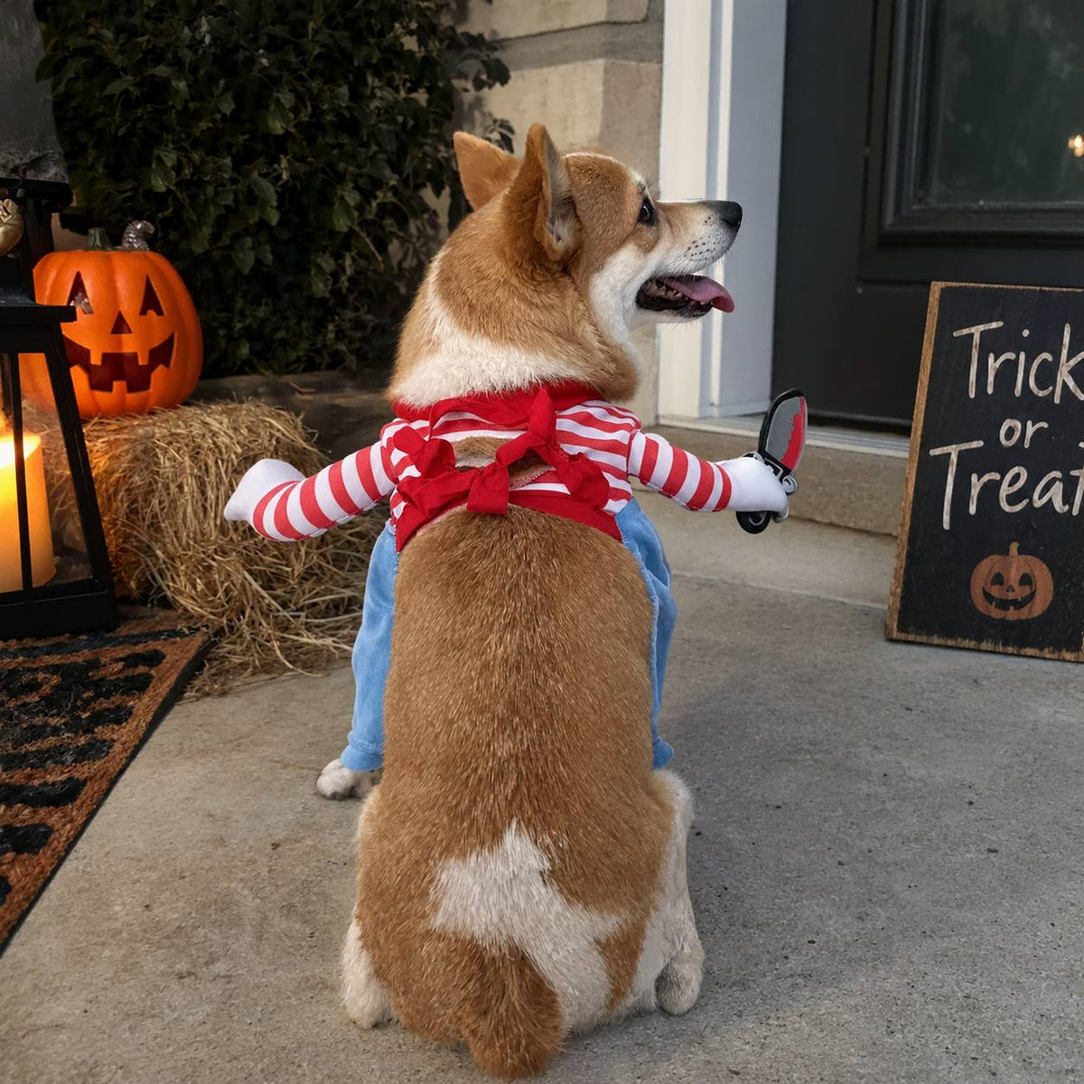 Velmora Halloween Doll Dog Costume™