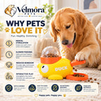 Velmora Interactive Duck Treat Dispenser™