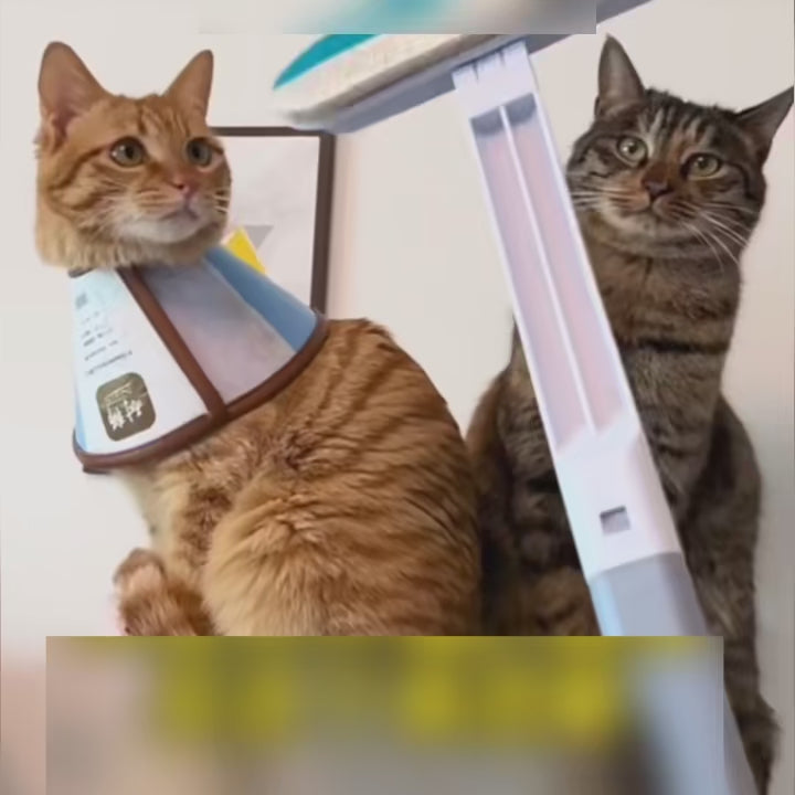 Velmora 4-in-1 Pet Hair Remover™